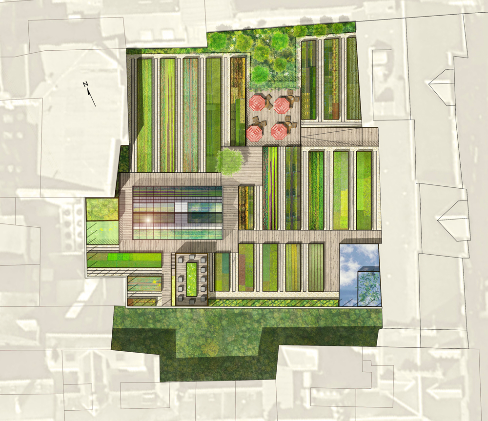 P08 projet de transformation de toiture terrasse en espace comestible Société Intermarché Rouen 76 - 001
