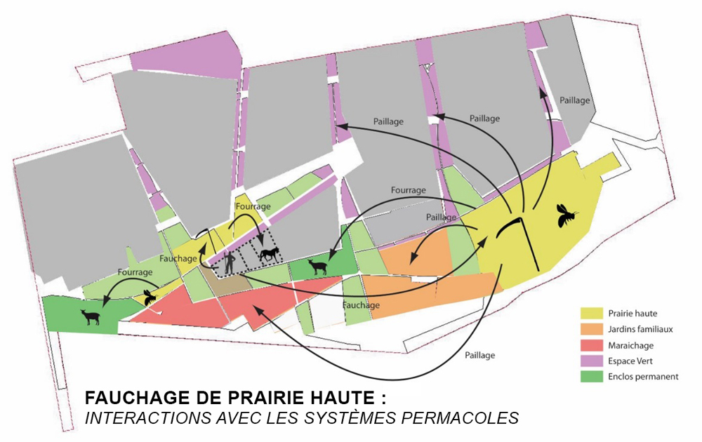 P09 étude de faisabilité pour l'installation d'un projet d'éco-agriculture urbaine Champhol métropole de Chartres - 001