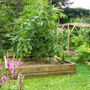 P14 projet de jardin comestible dans l’agglomération Rouennaise 76 - 001